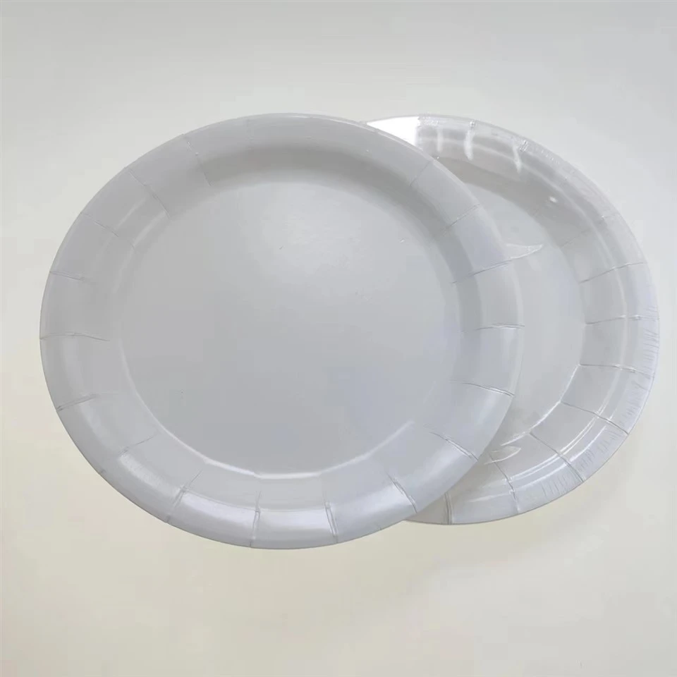 10 Inch Disposable Plate