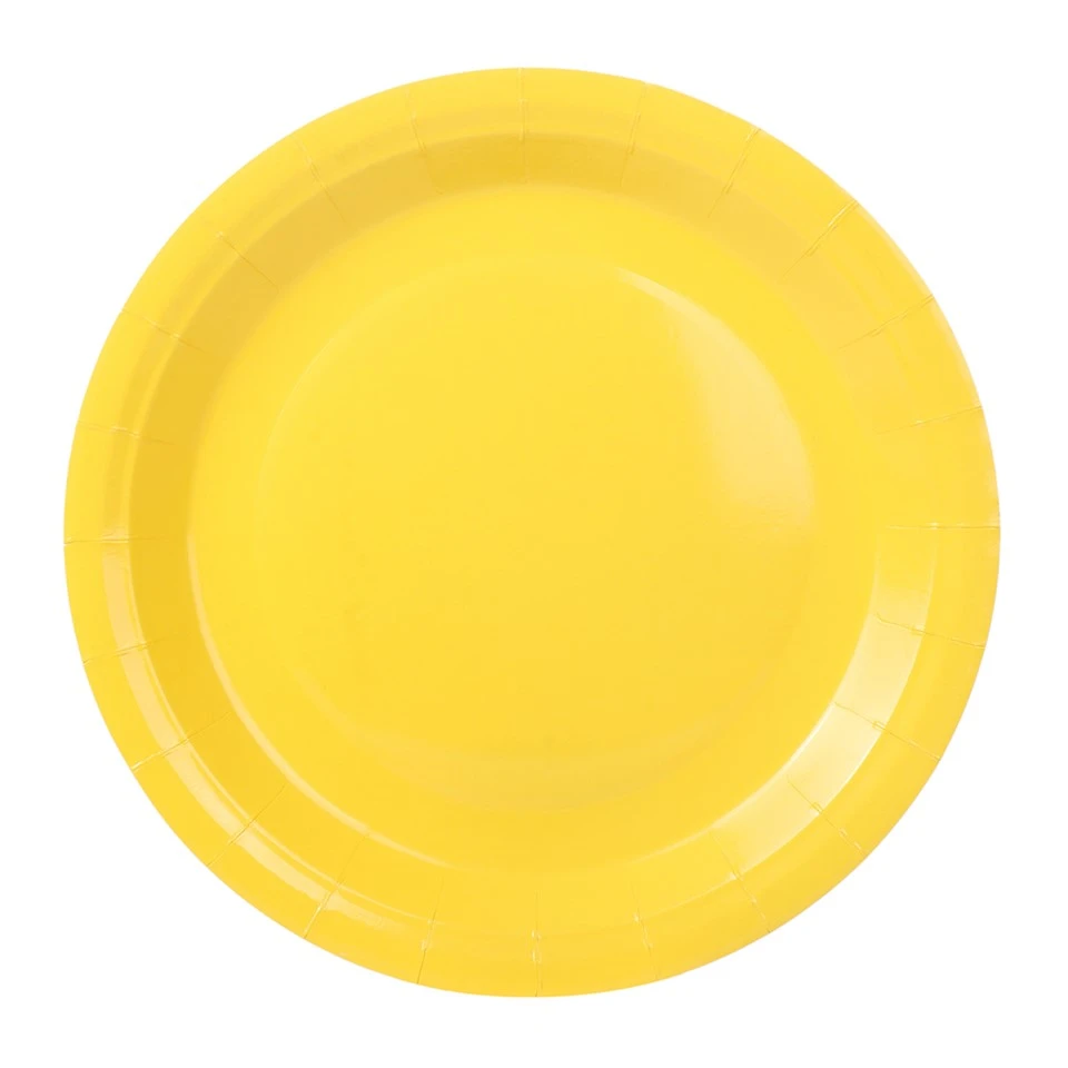 Good Quality Party Plate